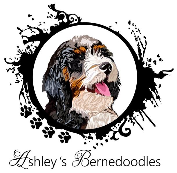 logo Ashley